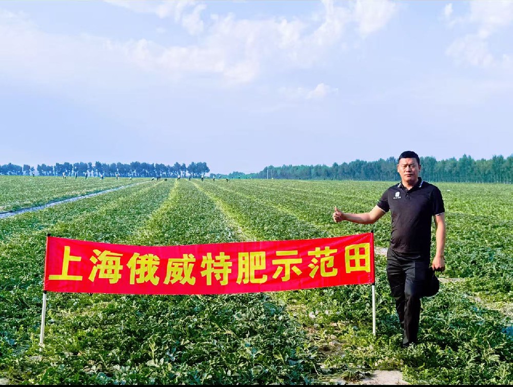 种植西瓜常见问题解答