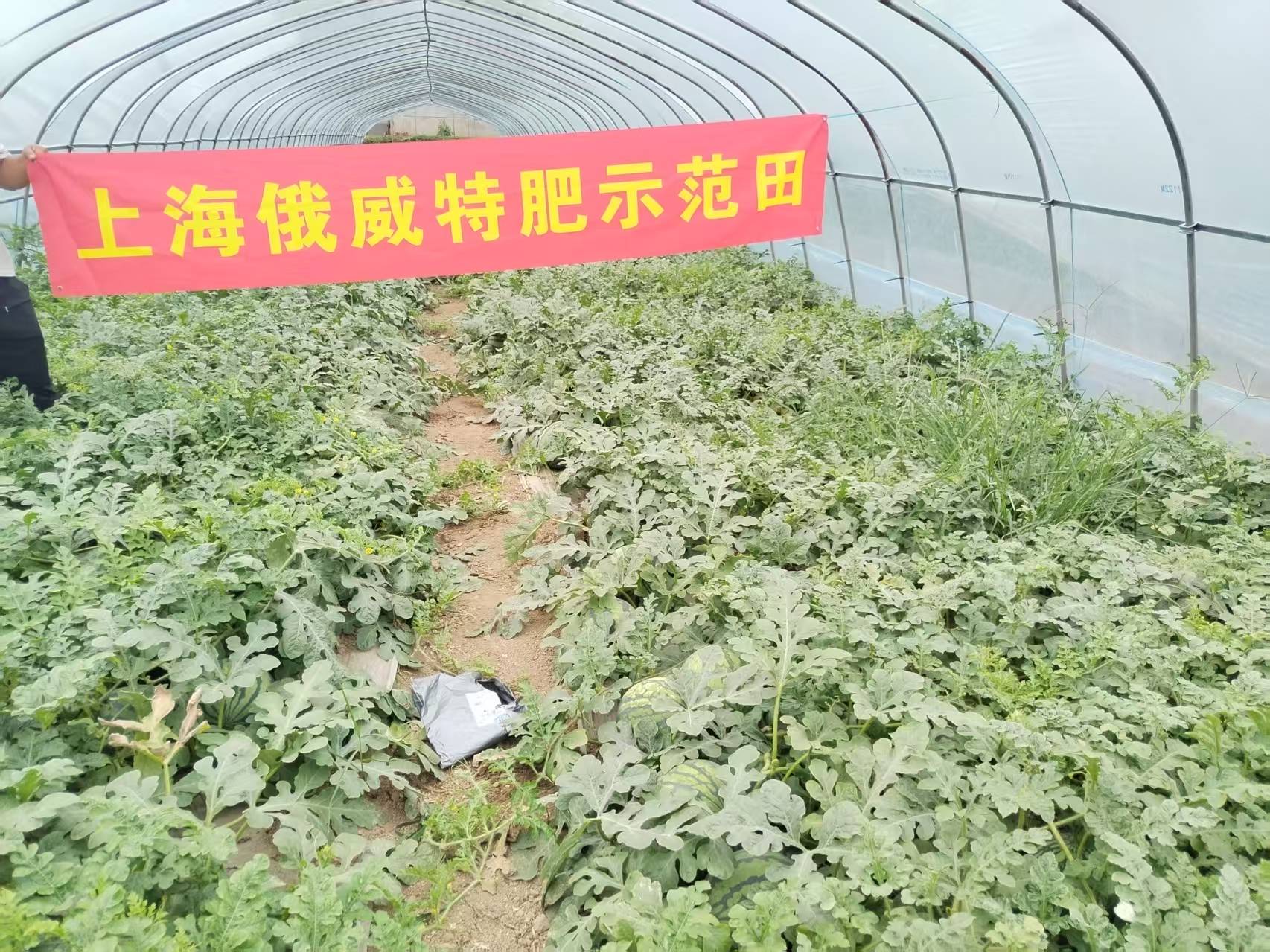 微信图片_20250718170602.jpg