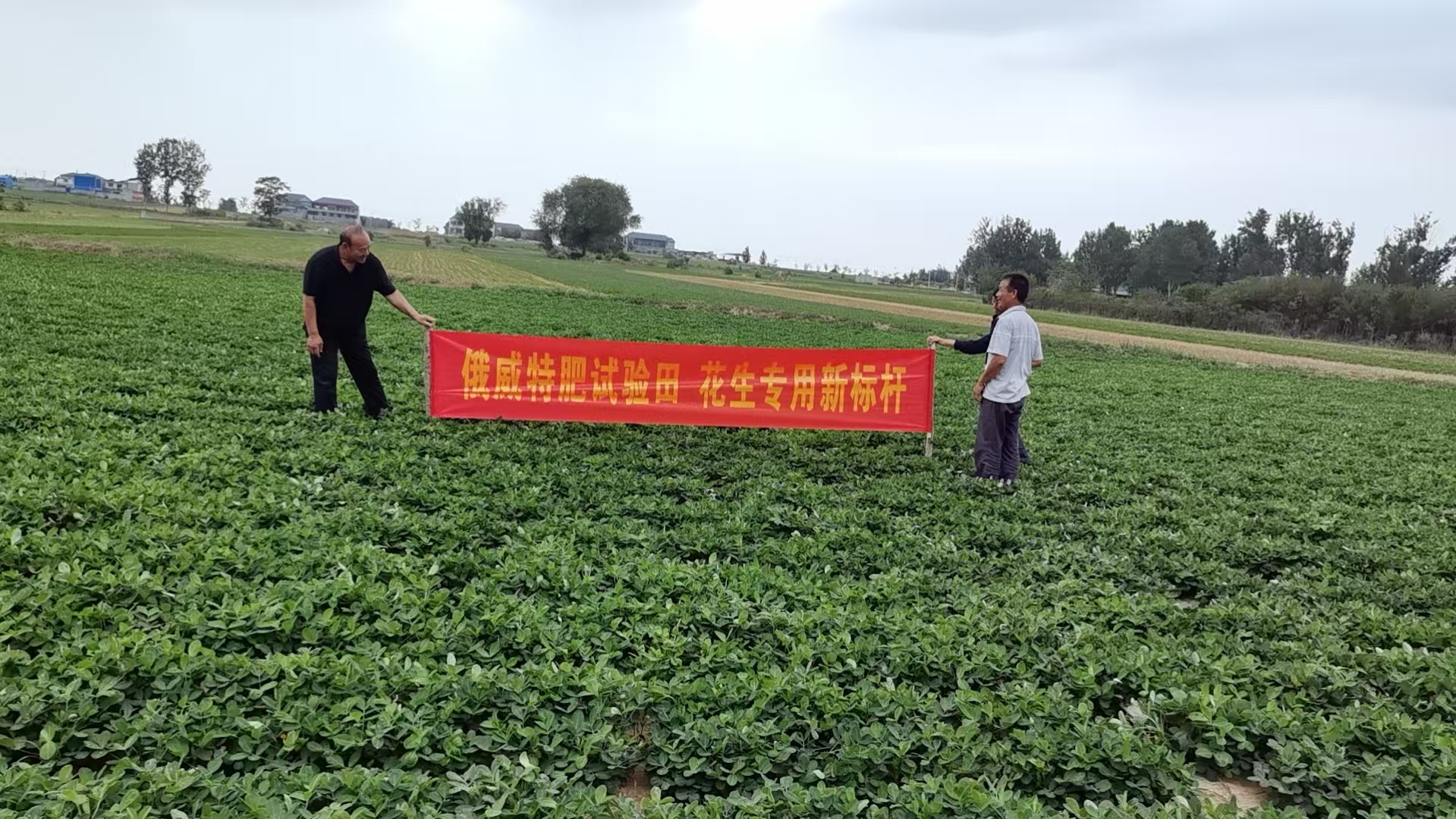 微信图片_20250718170622.jpg