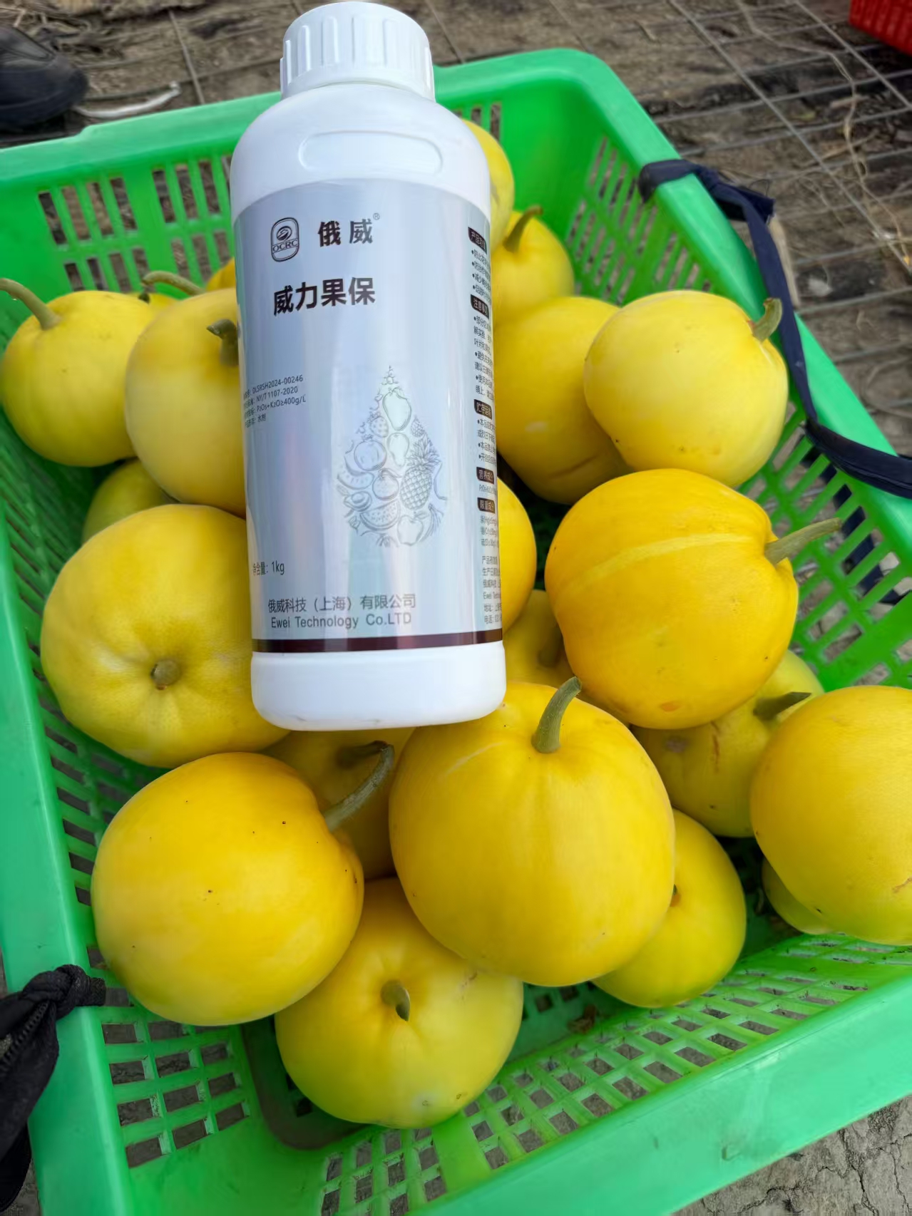 微信图片_20250718170736.jpg