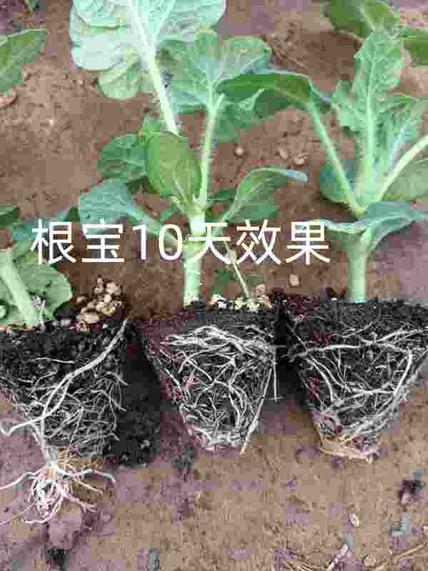 微信图片_20250718170745_副本.jpg