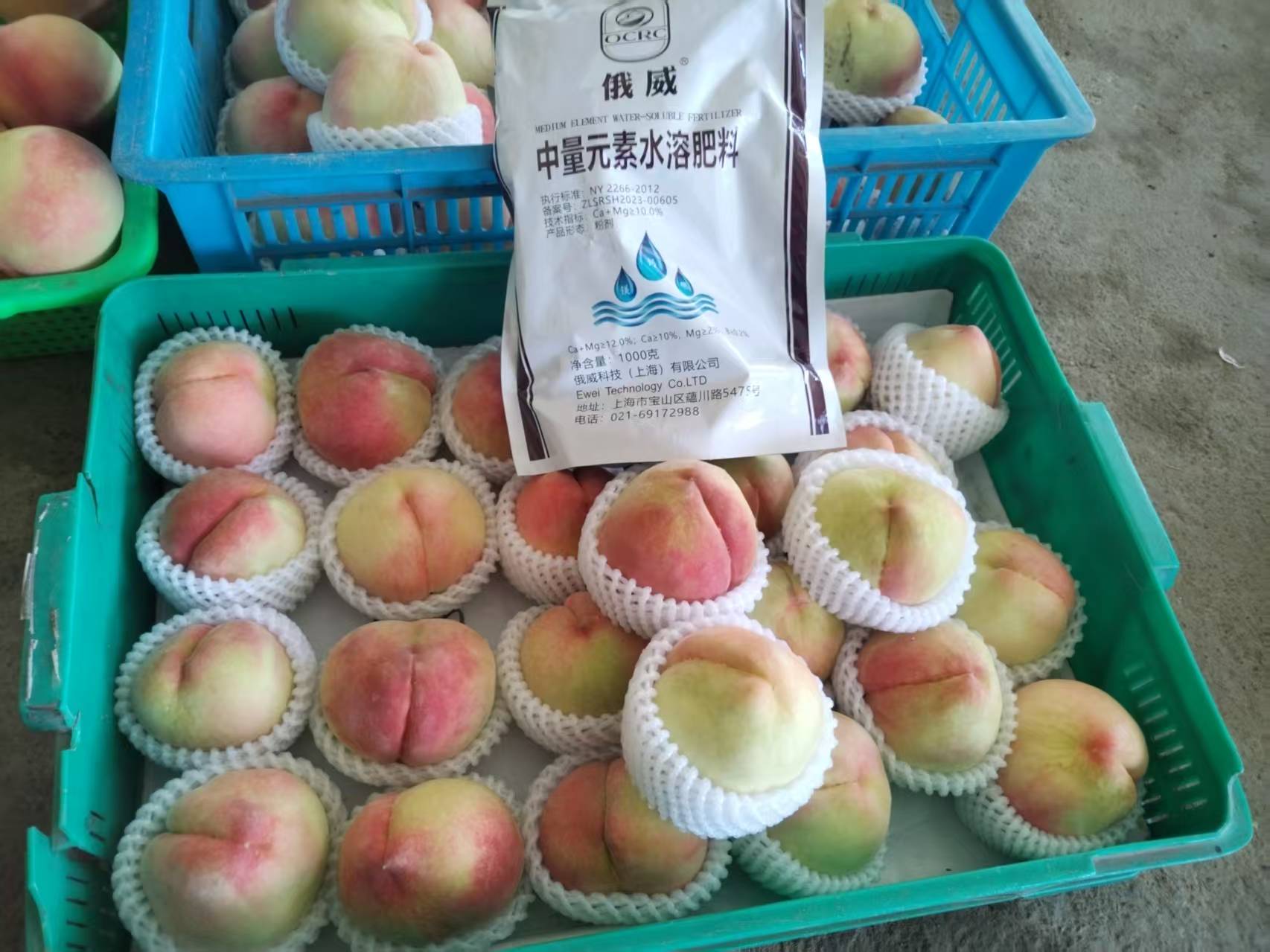1753942499669833.jpg 微信图片_20250718170532.jpg