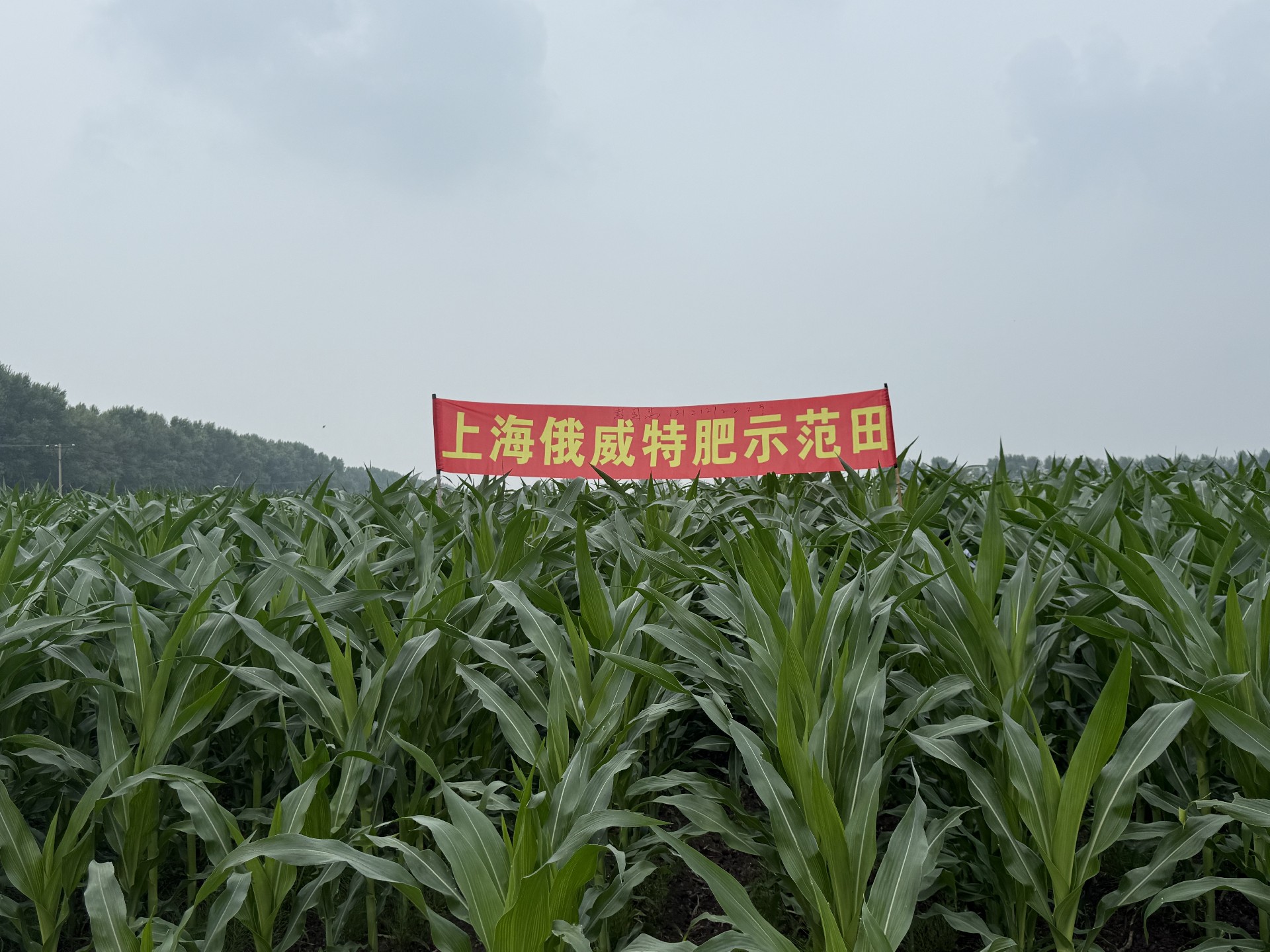 1754482817135696.jpg 微信图片_20250718170521.jpg