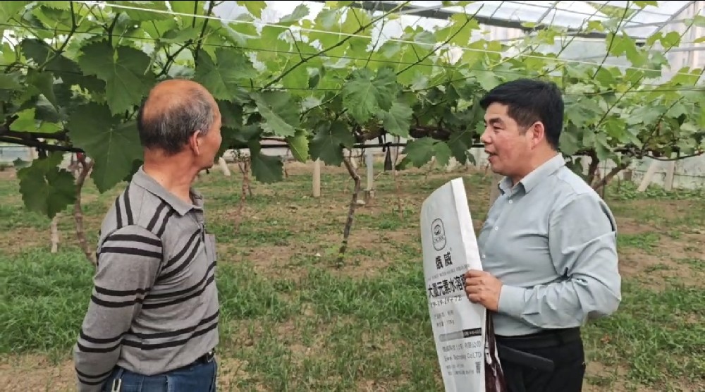 买肥不是“一锤子买卖”,福利跟着服务走